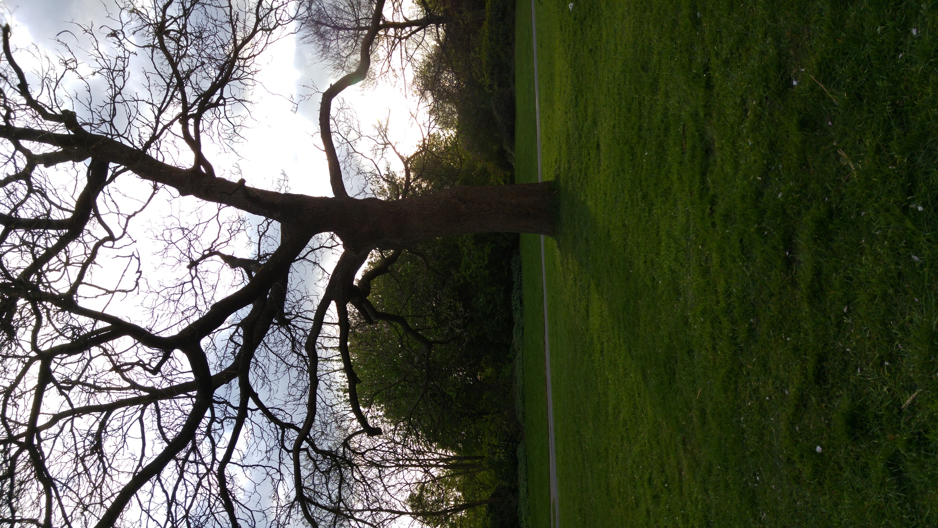 LG G4 (testovací fotky z Londýna)