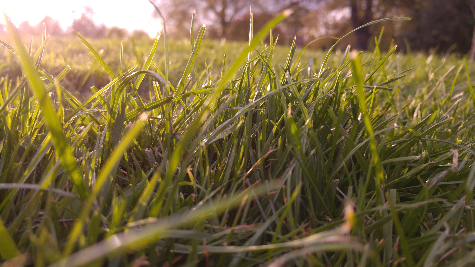 LG G4 (testovací fotky z Londýna)