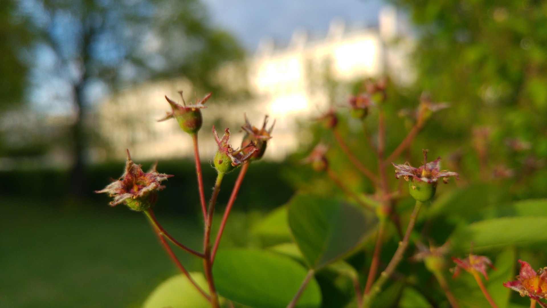 LG G4 (testovací fotky z Londýna)