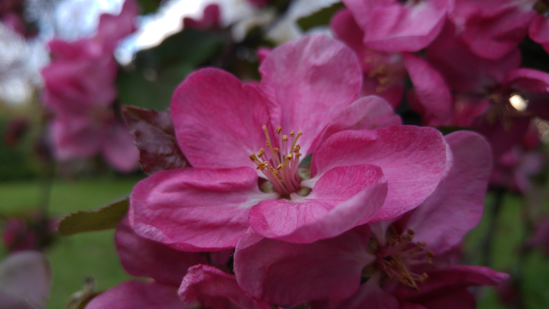 LG G4 (testovací fotky z Londýna)