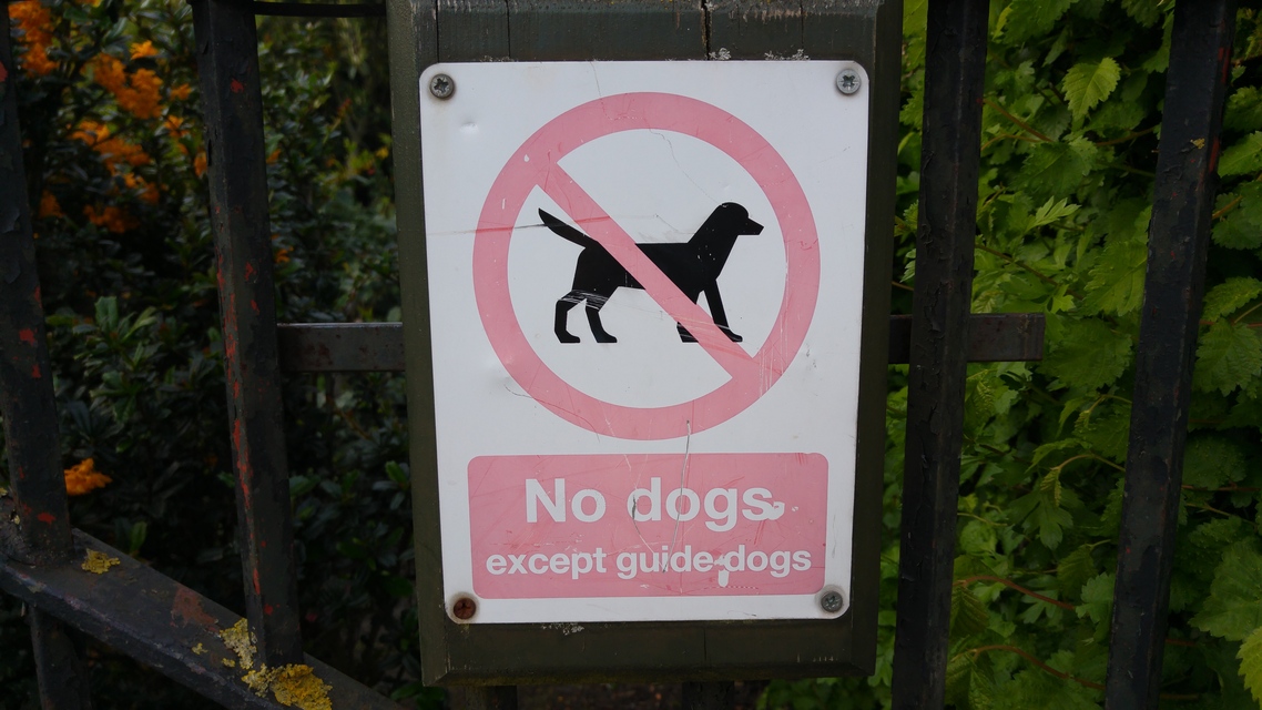 LG G4 (testovací fotky z Londýna)