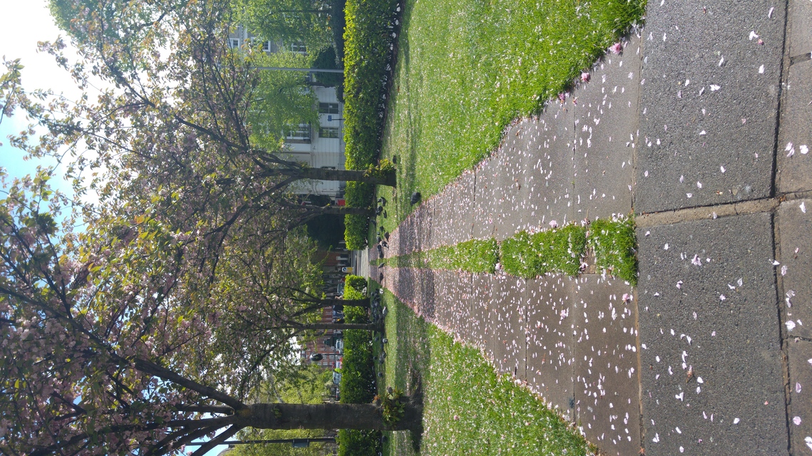 LG G4 (testovací fotky z Londýna)