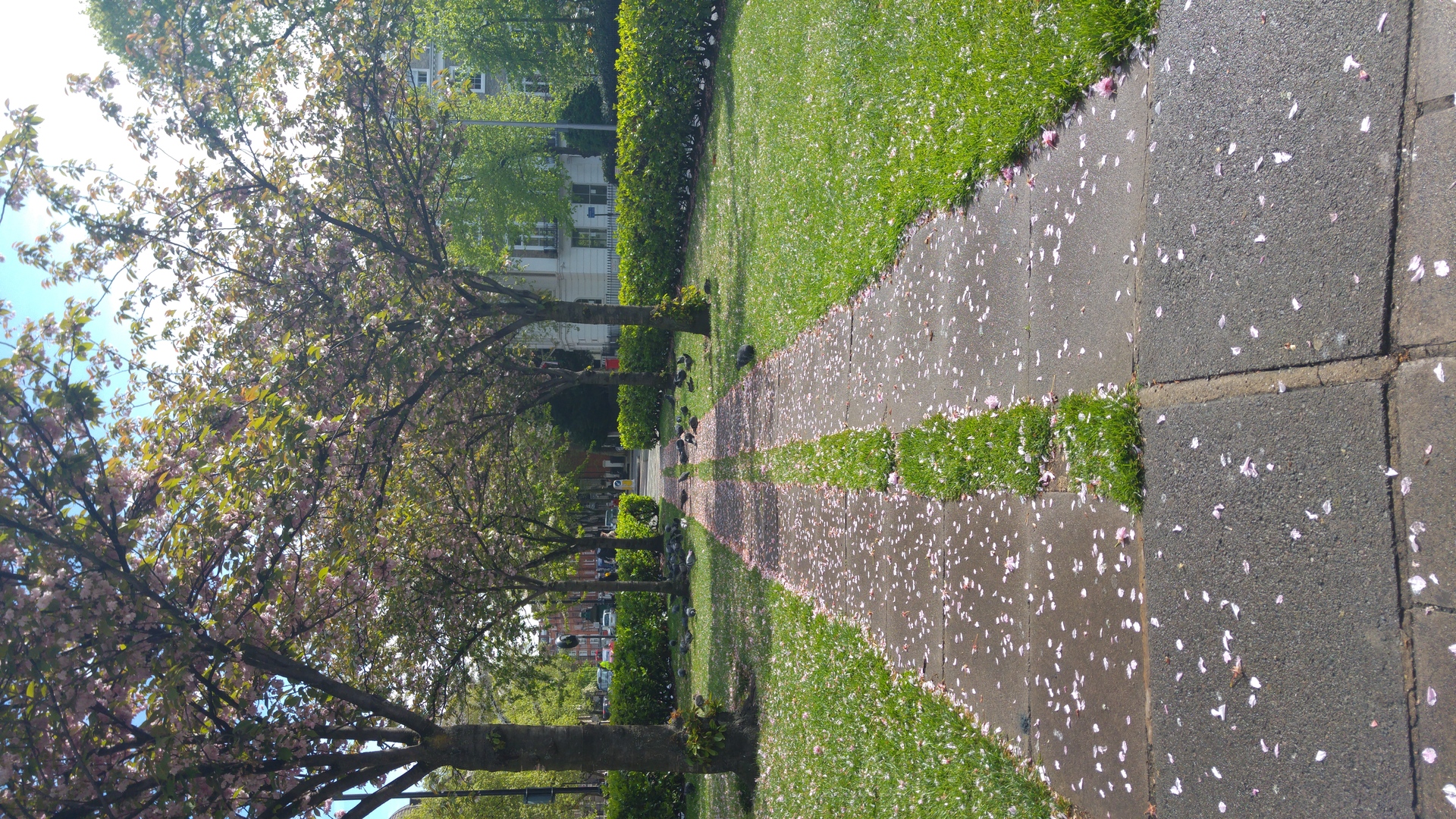 LG G4 (testovací fotky z Londýna)