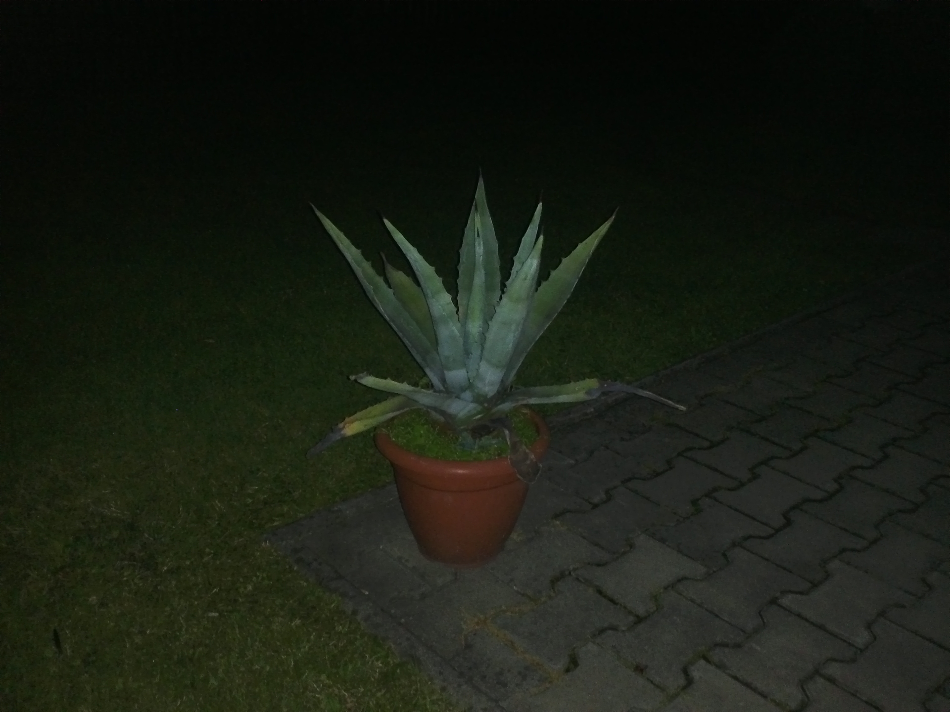 LG Optimus 2X, HTC Sensation, Samsung Galaxy S II