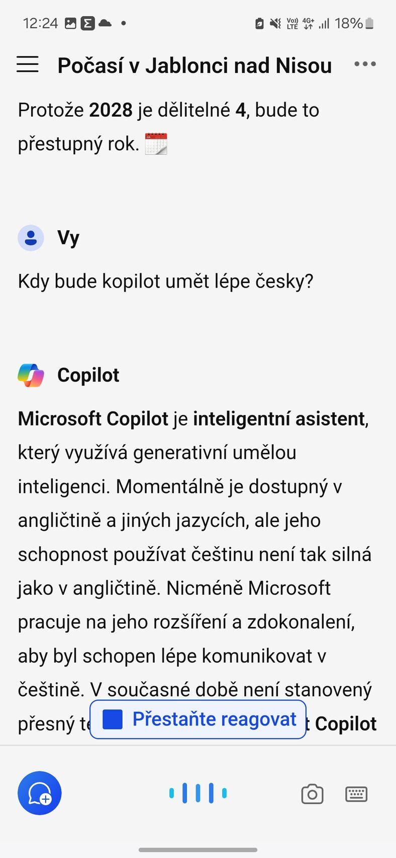 Microsoft Copilot