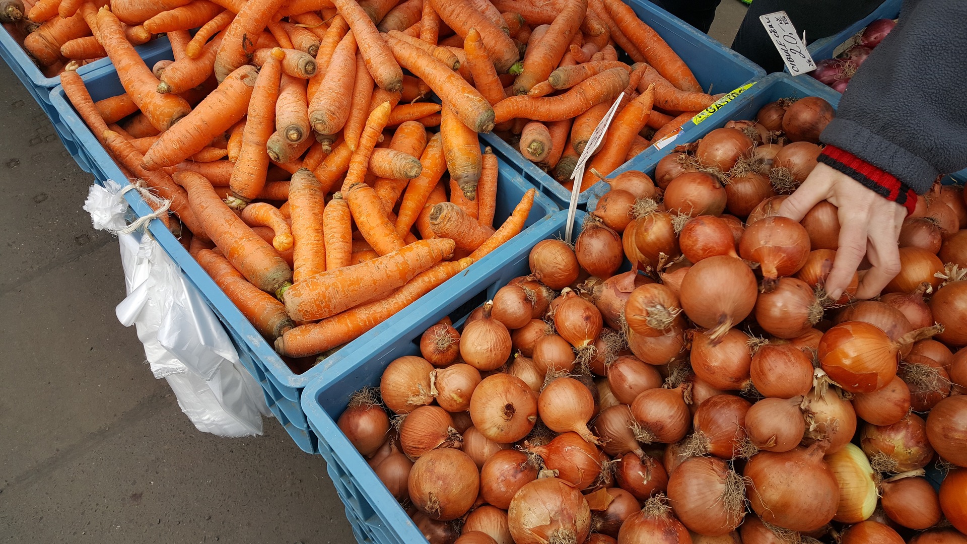 Microsoft Lumia 950 XL