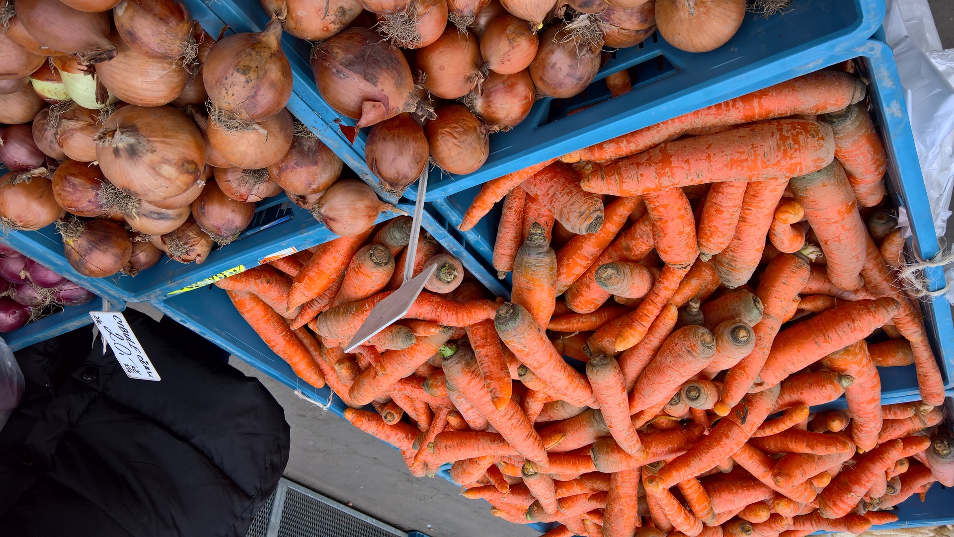 Microsoft Lumia 950 XL