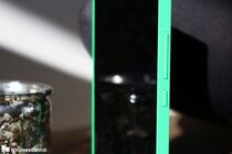 Microsoft Lumia Vela