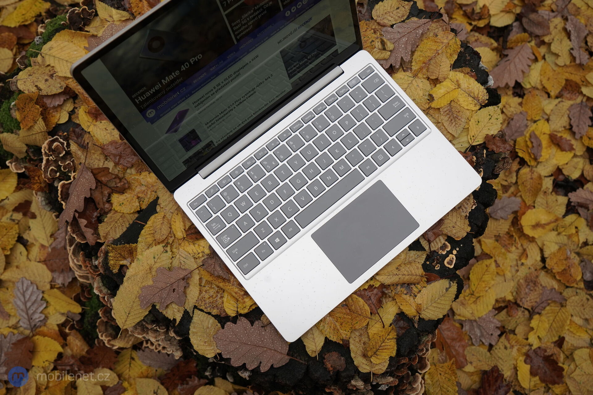 Microsoft Surface Laptop Go