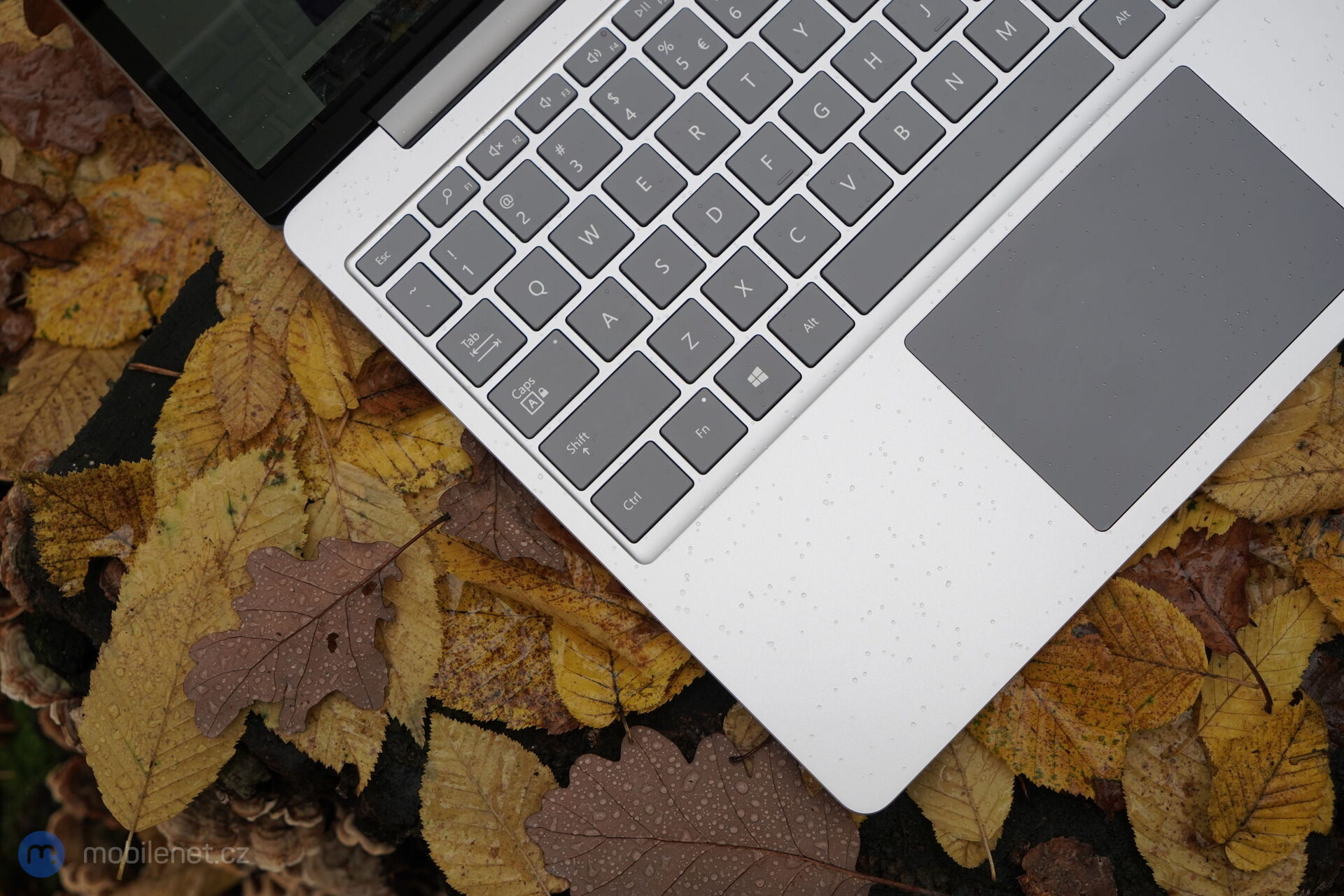 Microsoft Surface Laptop Go