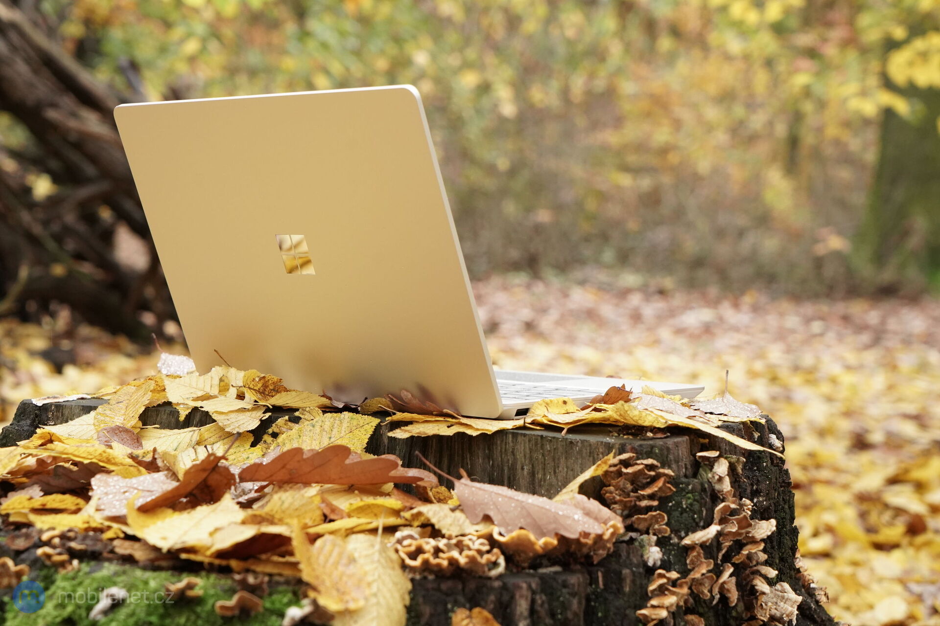 Microsoft Surface Laptop Go