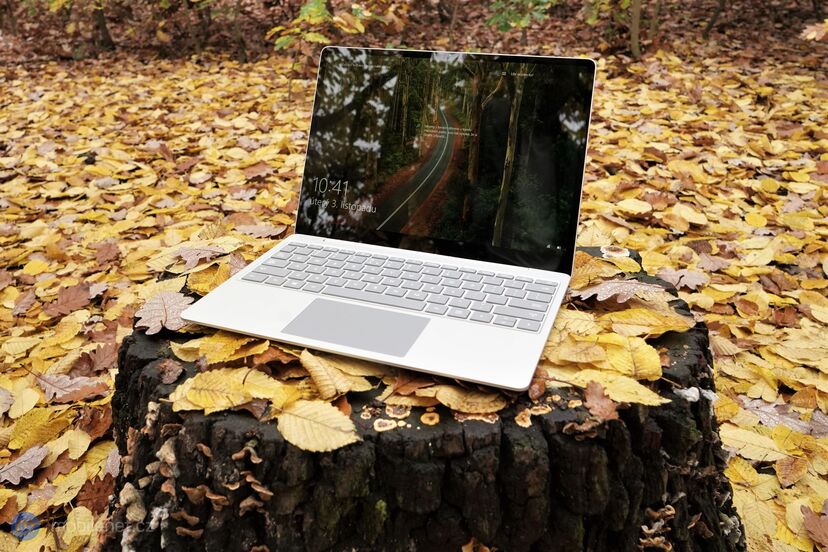 Microsoft Surface Laptop Go