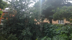 Microsoft Surface Pro 4