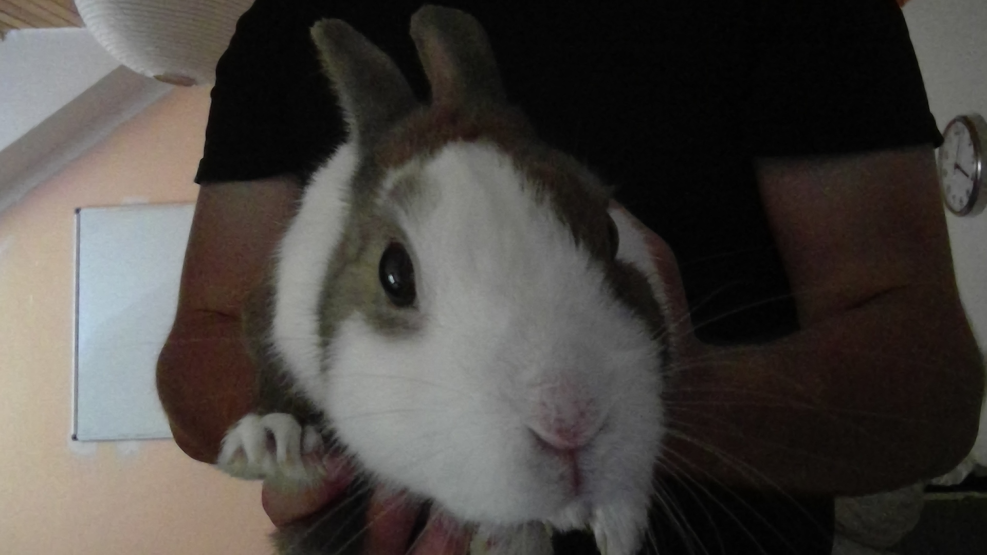 Microsoft Surface Pro 4