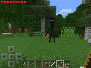 Minecraft – Pocket Edition
