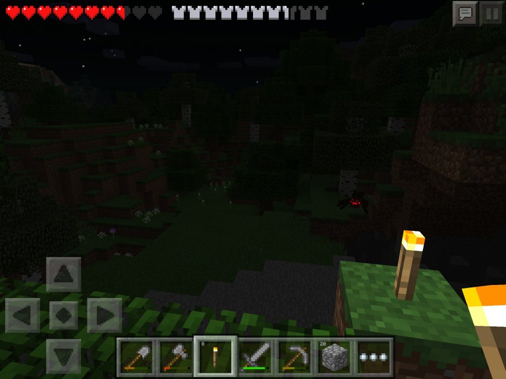 Minecraft – Pocket Edition