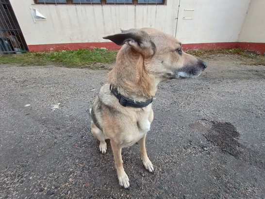 Motorola Edge 20 Lite