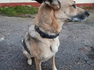 Motorola Edge 20 Lite