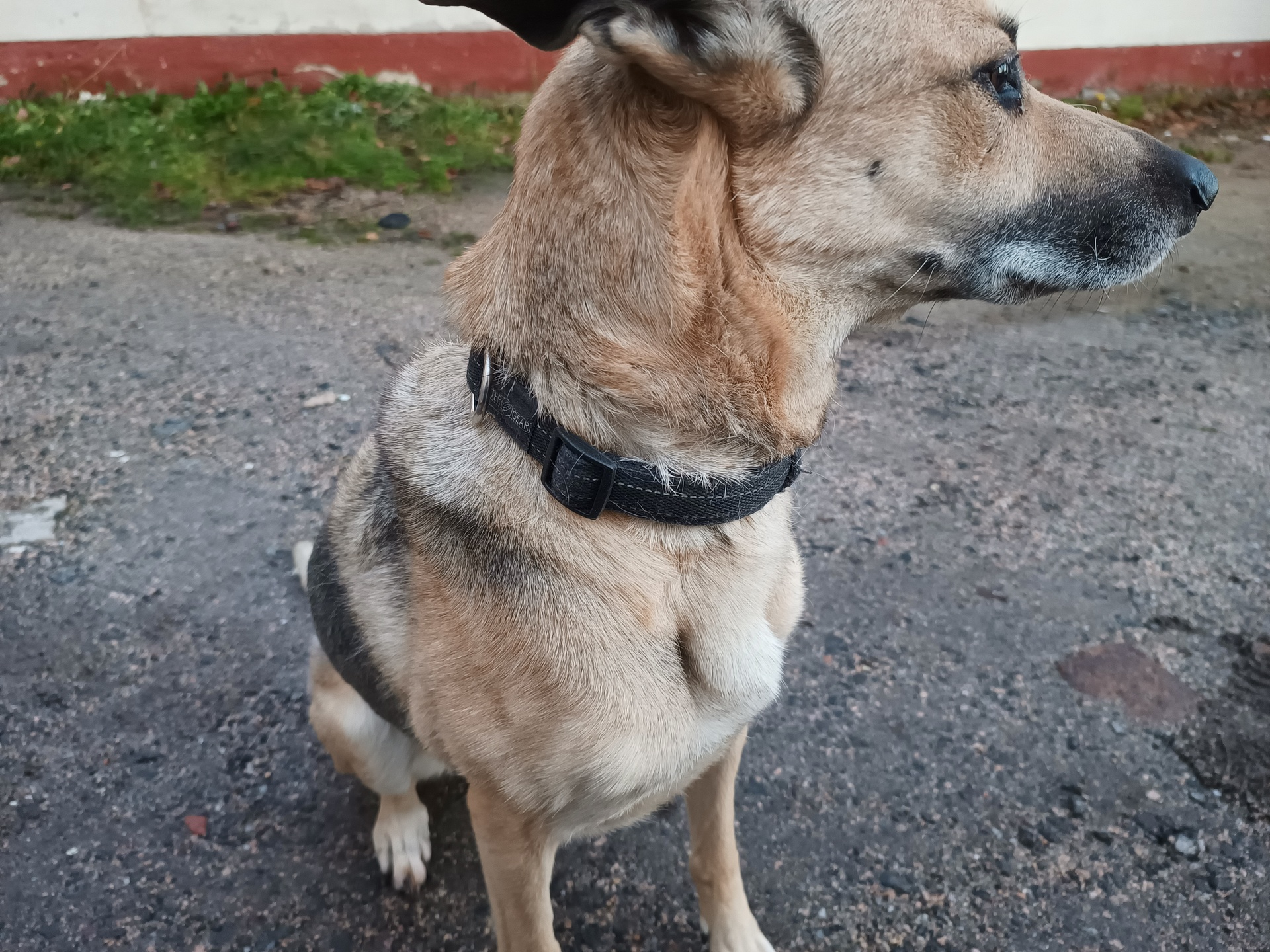 Motorola Edge 20 Lite