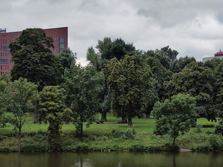 Motorola Edge 20 Pro