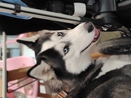 Motorola Edge 30 Fusion