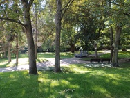 Motorola Edge 30 Neo