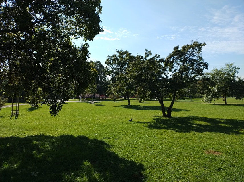 Motorola Edge 30 Neo