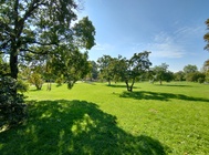 Motorola Edge 30 Neo