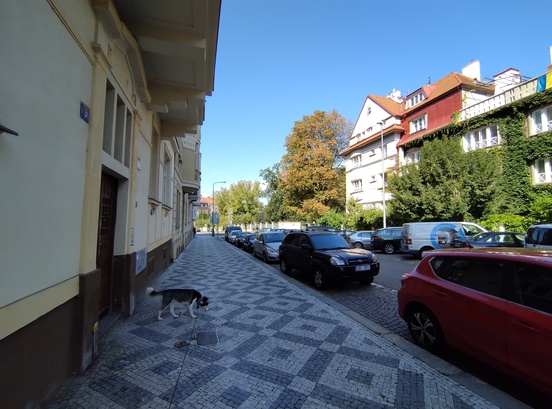 Motorola Edge 30 Neo