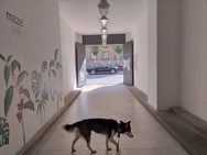 Motorola Edge 30 Neo