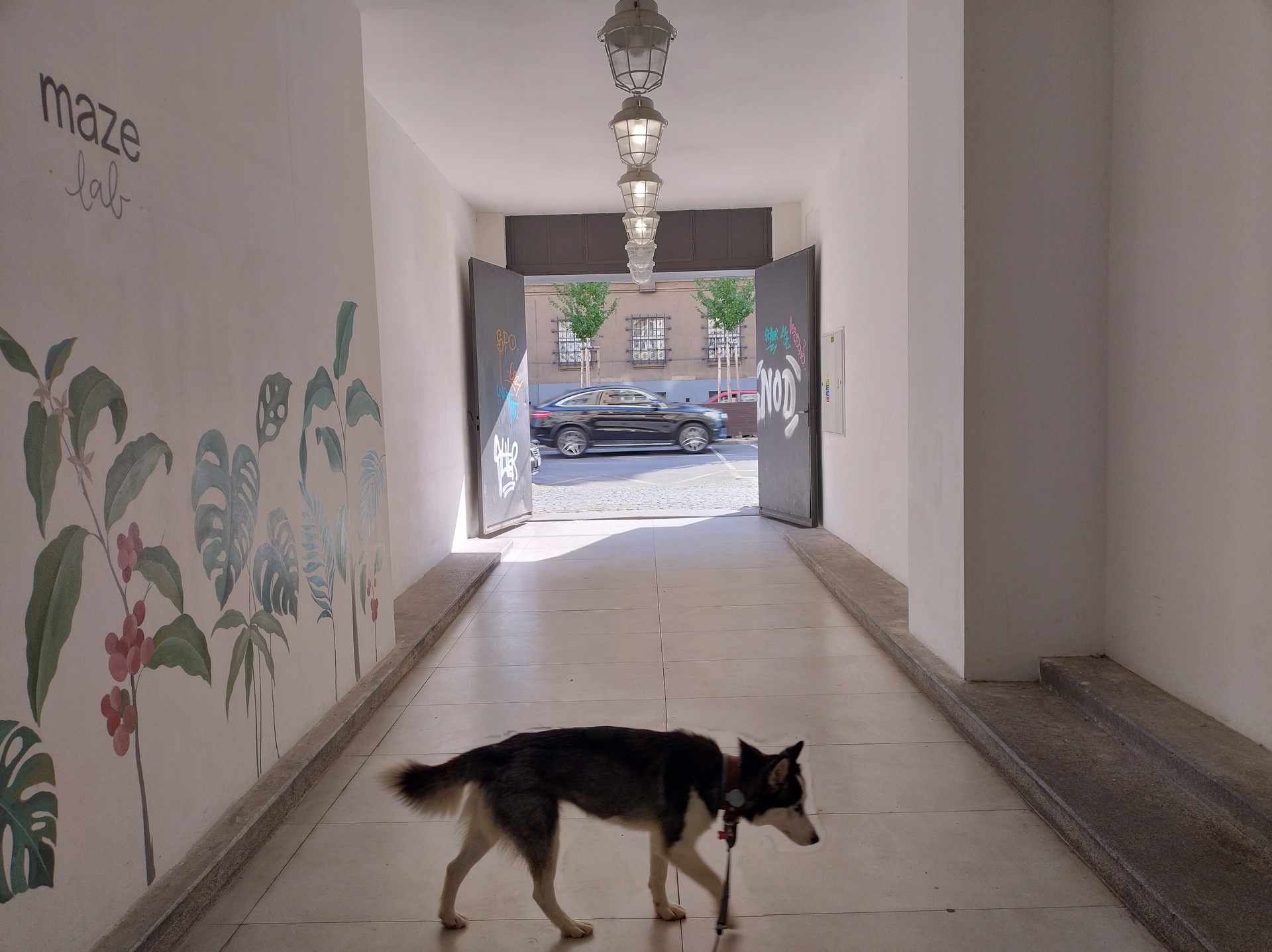 Motorola Edge 30 Neo