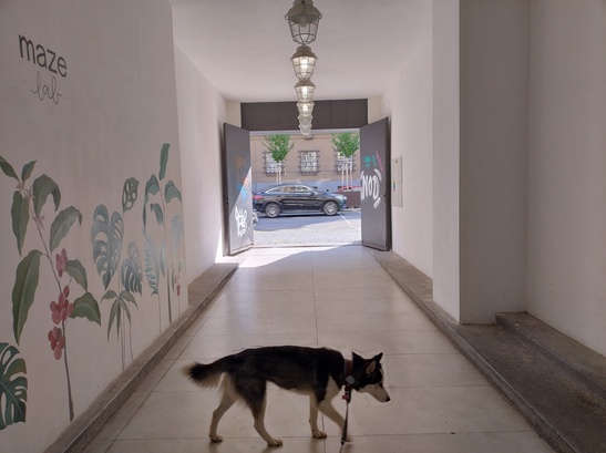 Motorola Edge 30 Neo