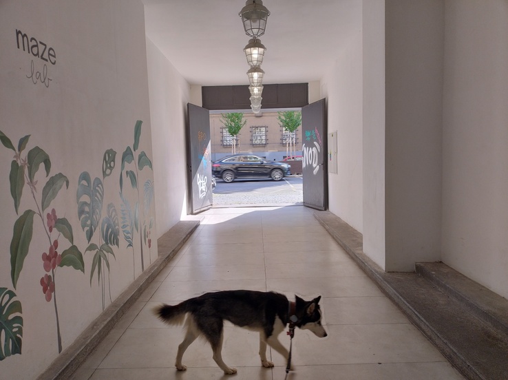 Motorola Edge 30 Neo