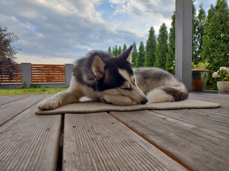 Motorola Edge 30 Neo