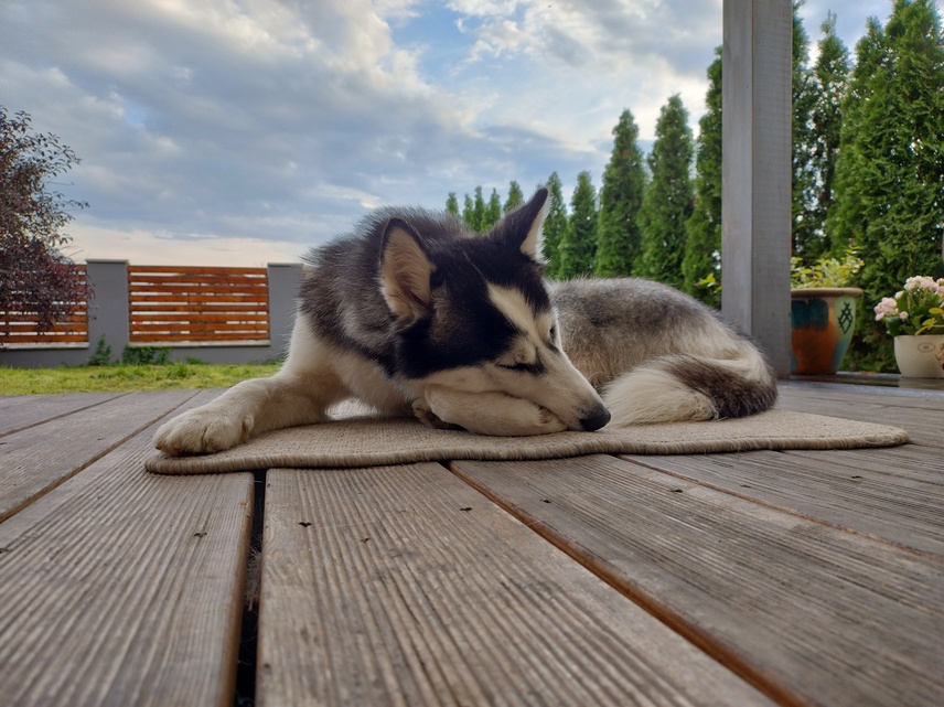 Motorola Edge 30 Neo