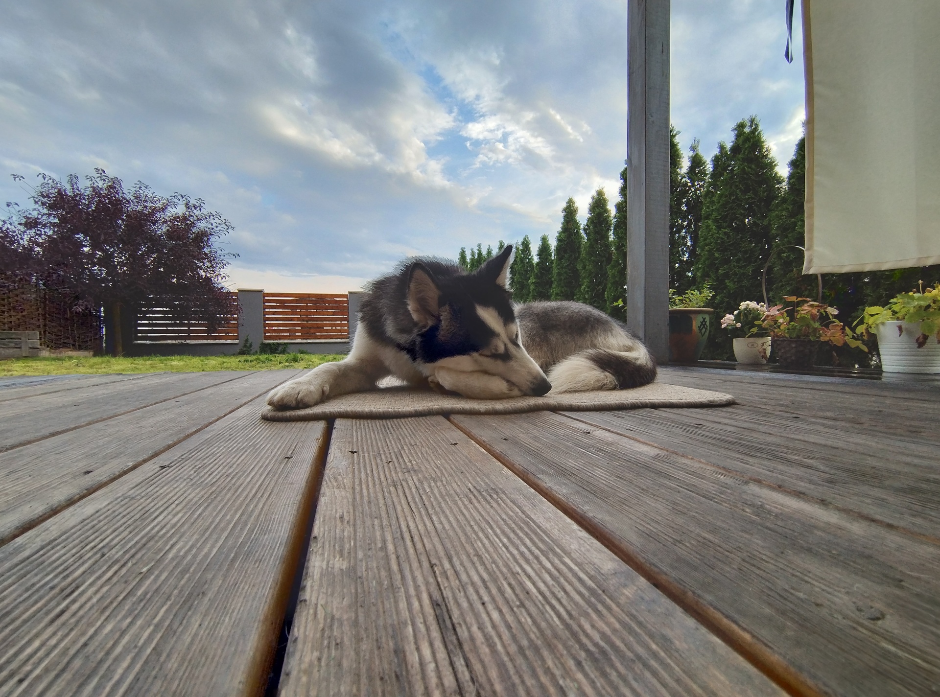 Motorola Edge 30 Neo