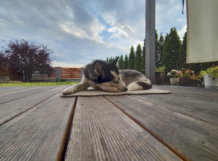 Motorola Edge 30 Neo