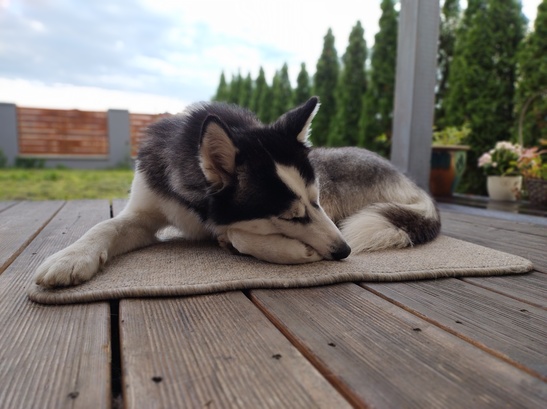 Motorola Edge 30 Neo