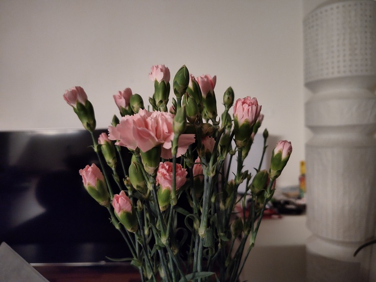 Motorola Edge 30 Pro