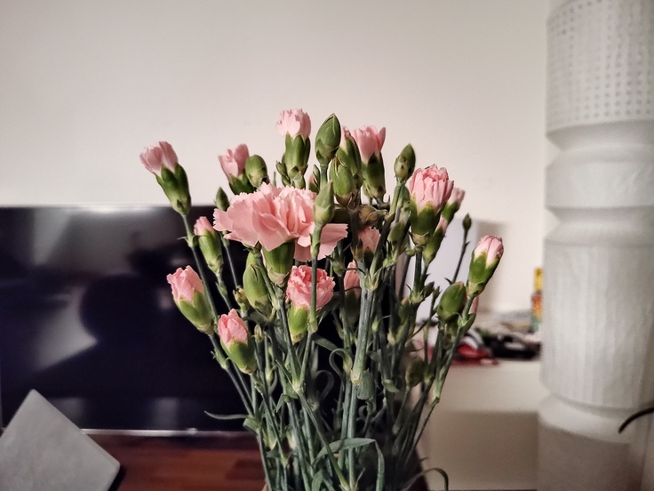 Motorola Edge 30 Pro