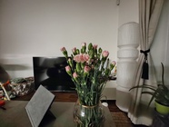 Motorola Edge 30 Pro