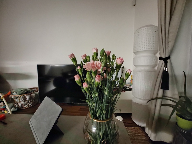 Motorola Edge 30 Pro