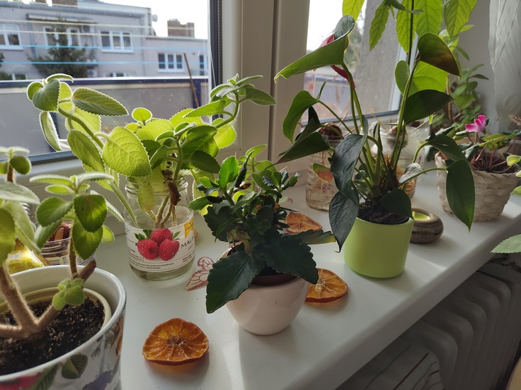 Motorola Edge 30 Pro