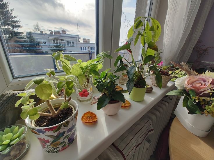 Motorola Edge 30 Pro