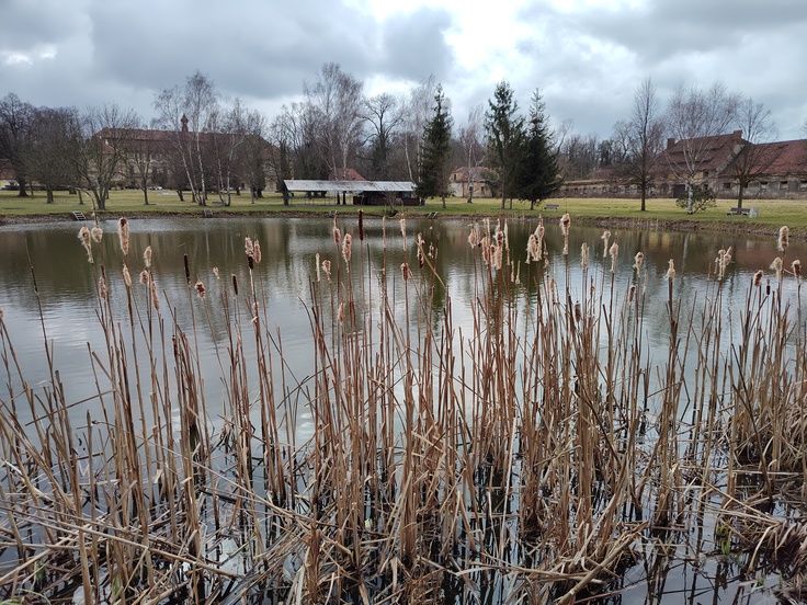 Motorola Edge 30 Pro