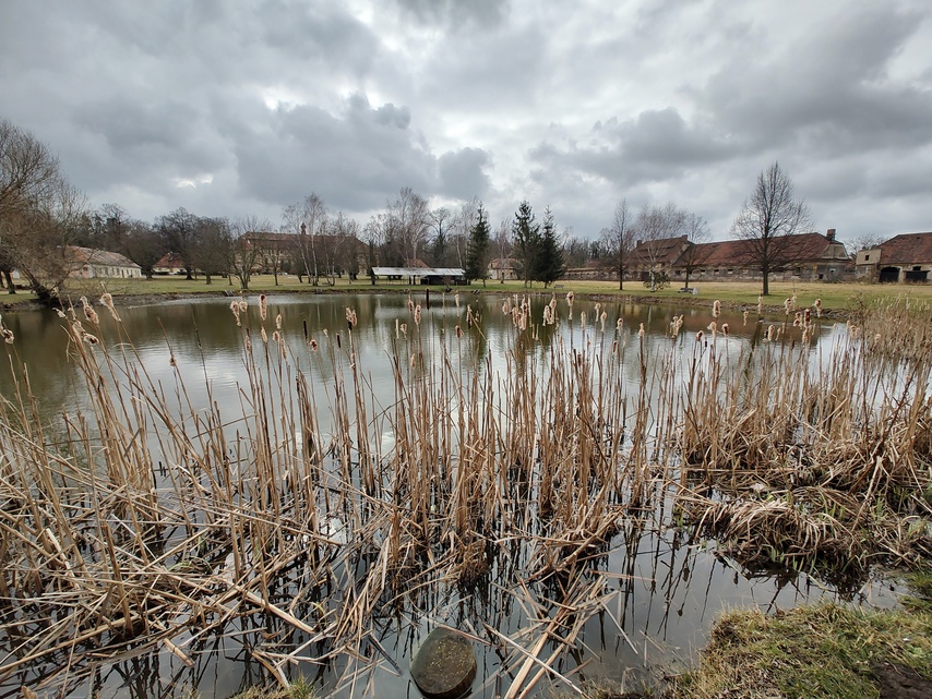 Motorola Edge 30 Pro