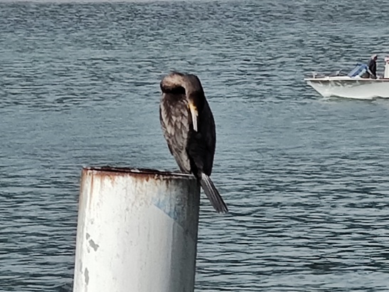 Motorola Edge 30 Ultra