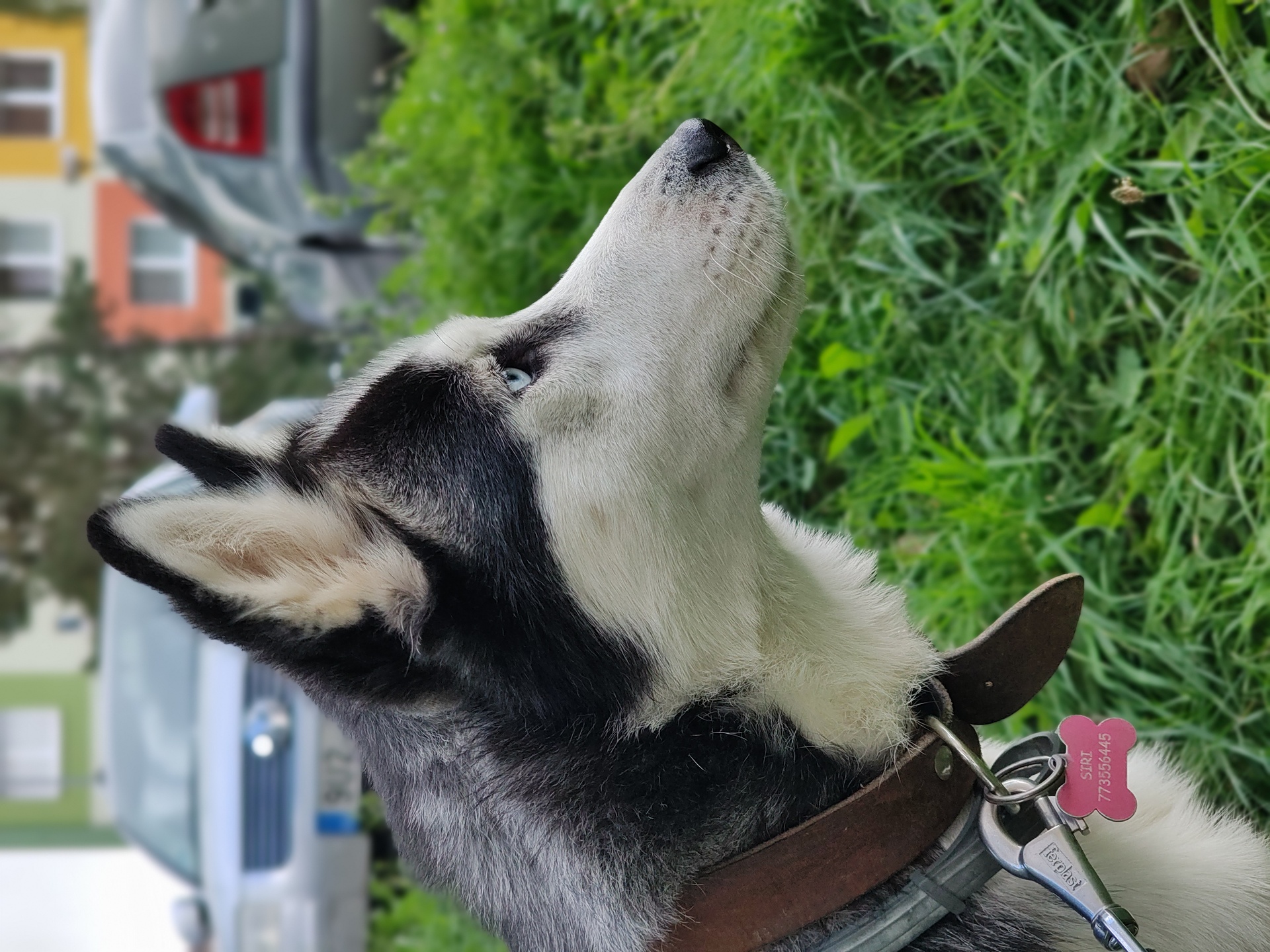 Motorola Edge 30 Ultra