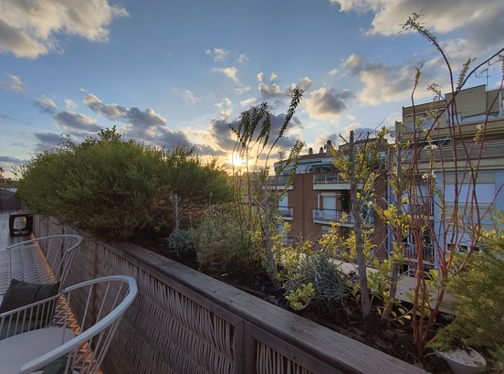 Motorola Edge 40 Neo