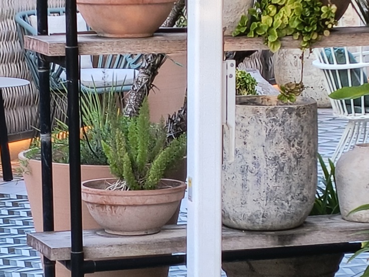 Motorola Edge 40 Neo